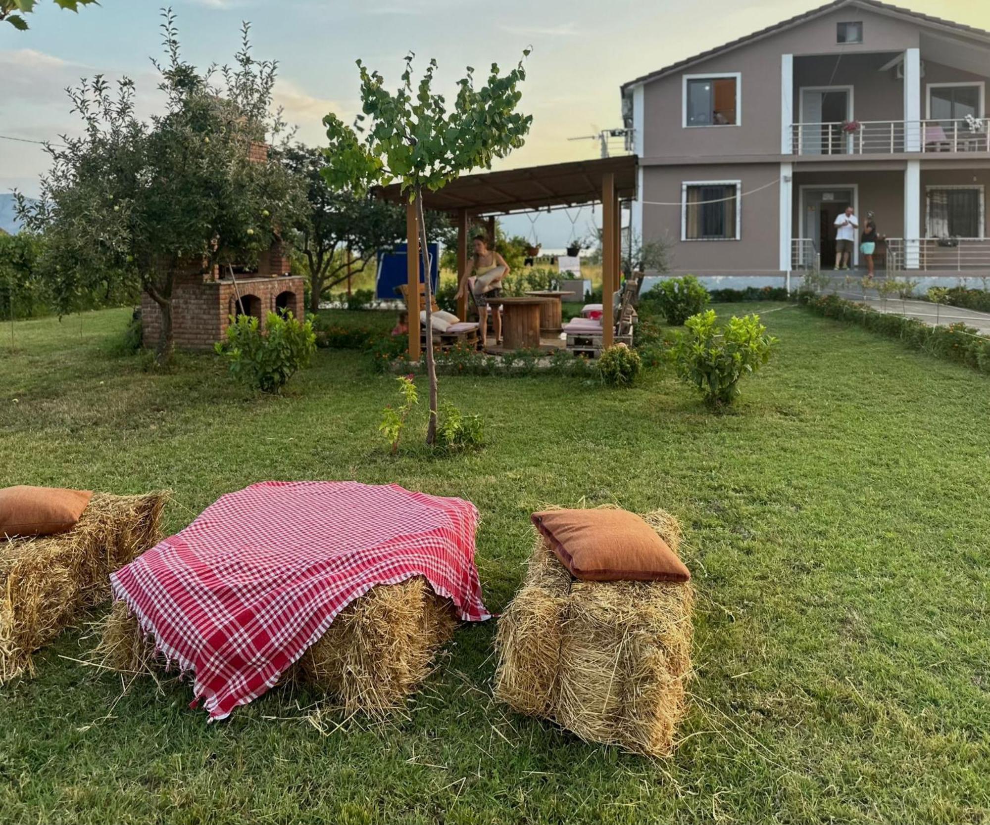 Ballkan Grilë